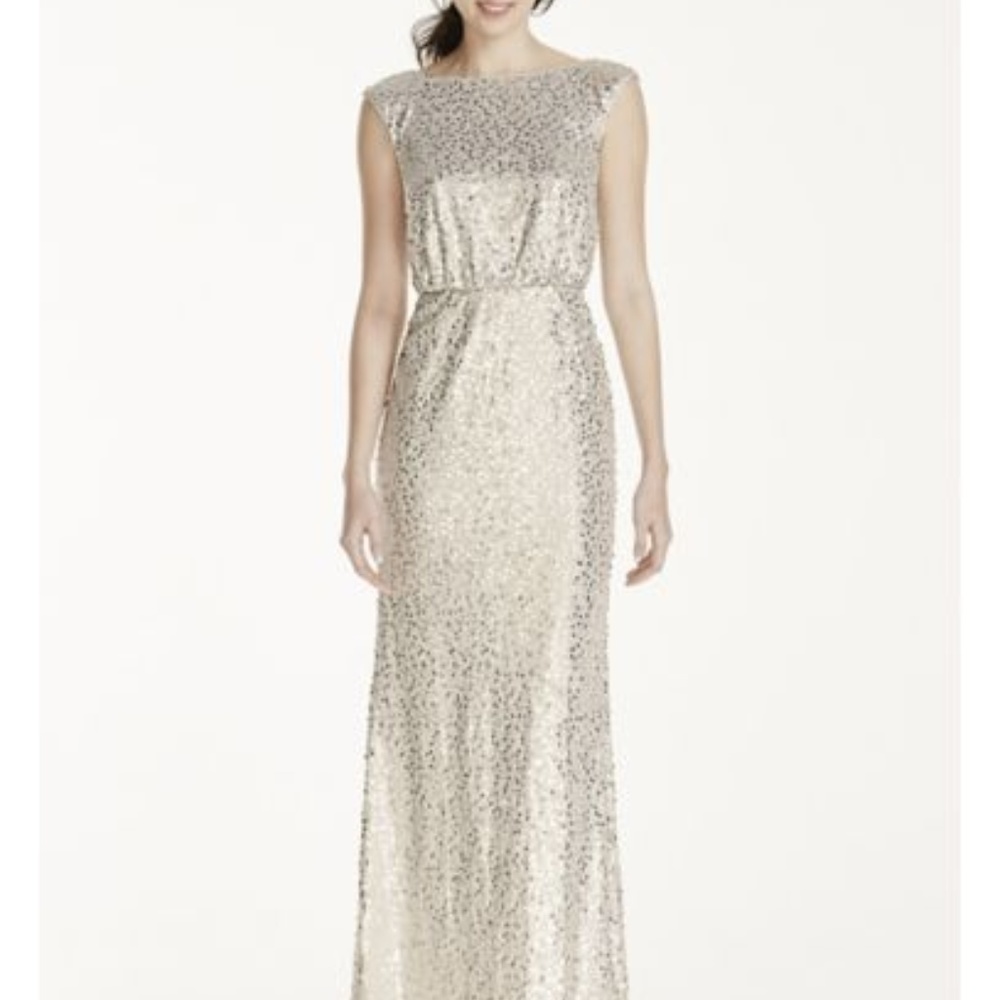 Silver Seqined Long Dress